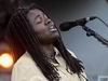 2006-wyltour-carhaix-tc5.jpg