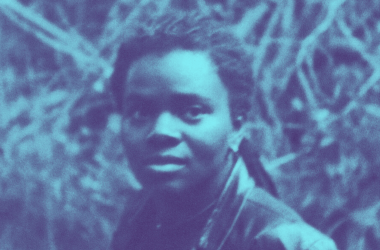 Tracy Chapman's Collection Biography