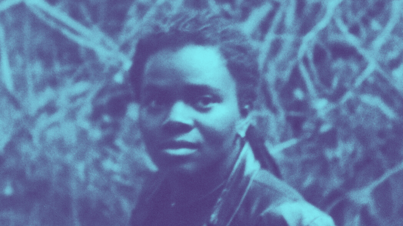 Tracy Chapman's Collection Biography